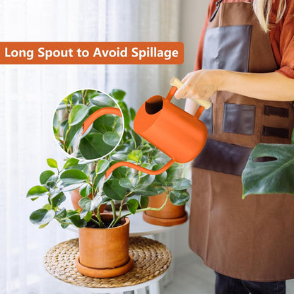 Watering Can Indoor Plants, 35oz Small Indoor Stainless Steel Metal Watering Can Modern Decorative Watering Pot with Long Spout for Indoor House Plant Bonsai Garden Flowers (Sage Green)