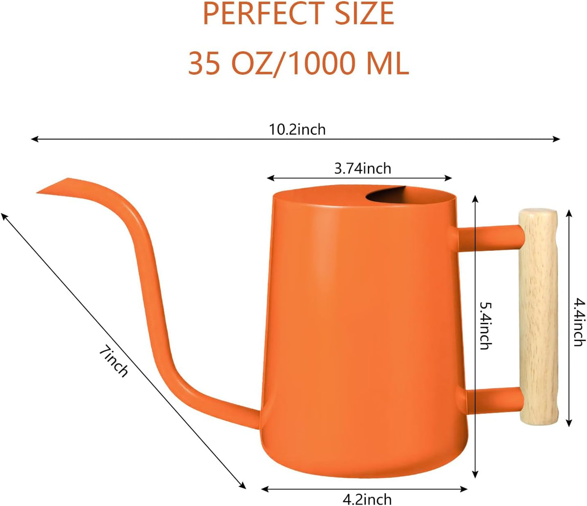 Watering Can Indoor Plants, 35oz Small Indoor Stainless Steel Metal Watering Can Modern Decorative Watering Pot with Long Spout for Indoor House Plant Bonsai Garden Flowers (Sage Green)