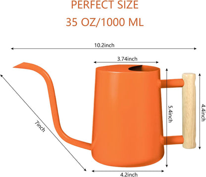 Watering Can Indoor Plants, 35oz Small Indoor Stainless Steel Metal Watering Can Modern Decorative Watering Pot with Long Spout for Indoor House Plant Bonsai Garden Flowers (Sage Green)