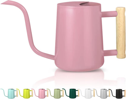 Watering Can Indoor Plants, 35oz Small Indoor Stainless Steel Metal Watering Can Modern Decorative Watering Pot with Long Spout for Indoor House Plant Bonsai Garden Flowers (Sage Green)