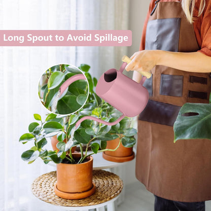 Watering Can Indoor Plants, 35oz Small Indoor Stainless Steel Metal Watering Can Modern Decorative Watering Pot with Long Spout for Indoor House Plant Bonsai Garden Flowers (Sage Green)