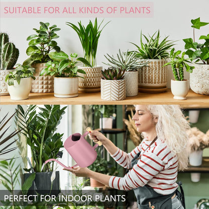 Watering Can Indoor Plants, 35oz Small Indoor Stainless Steel Metal Watering Can Modern Decorative Watering Pot with Long Spout for Indoor House Plant Bonsai Garden Flowers (Sage Green)