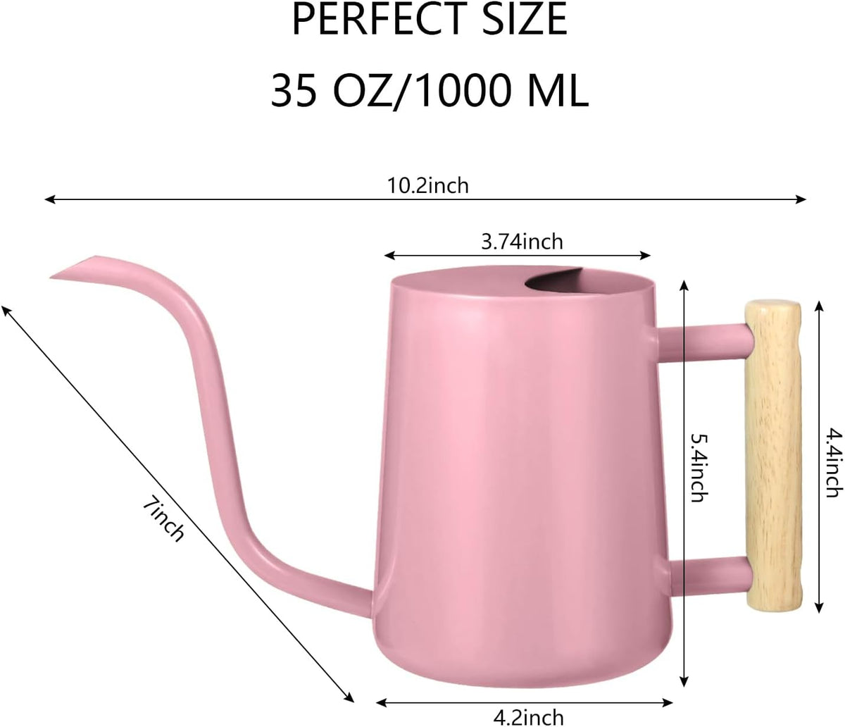 Watering Can Indoor Plants, 35oz Small Indoor Stainless Steel Metal Watering Can Modern Decorative Watering Pot with Long Spout for Indoor House Plant Bonsai Garden Flowers (Sage Green)