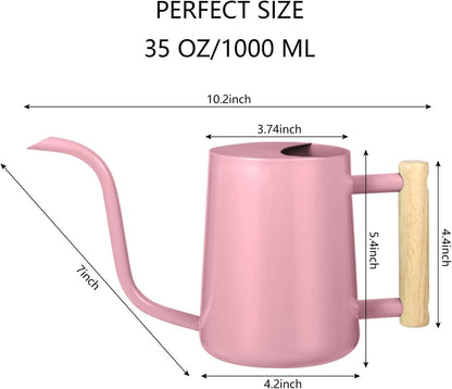 Watering Can Indoor Plants, 35oz Small Indoor Stainless Steel Metal Watering Can Modern Decorative Watering Pot with Long Spout for Indoor House Plant Bonsai Garden Flowers (Sage Green)