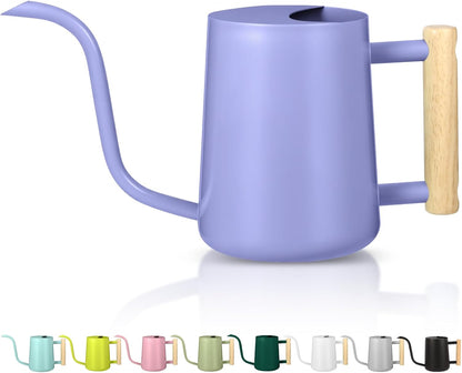 Watering Can Indoor Plants, 35oz Small Indoor Stainless Steel Metal Watering Can Modern Decorative Watering Pot with Long Spout for Indoor House Plant Bonsai Garden Flowers (Sage Green)