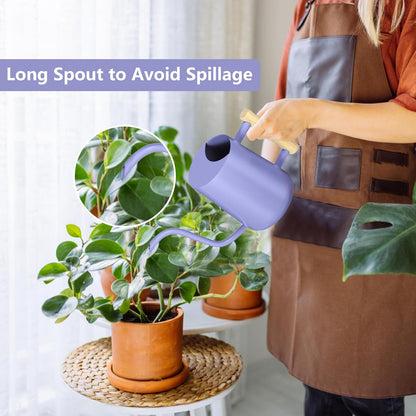 Watering Can Indoor Plants, 35oz Small Indoor Stainless Steel Metal Watering Can Modern Decorative Watering Pot with Long Spout for Indoor House Plant Bonsai Garden Flowers (Sage Green)