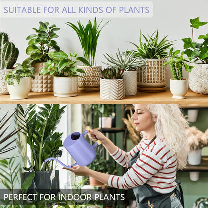 Watering Can Indoor Plants, 35oz Small Indoor Stainless Steel Metal Watering Can Modern Decorative Watering Pot with Long Spout for Indoor House Plant Bonsai Garden Flowers (Sage Green)