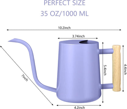 Watering Can Indoor Plants, 35oz Small Indoor Stainless Steel Metal Watering Can Modern Decorative Watering Pot with Long Spout for Indoor House Plant Bonsai Garden Flowers (Sage Green)