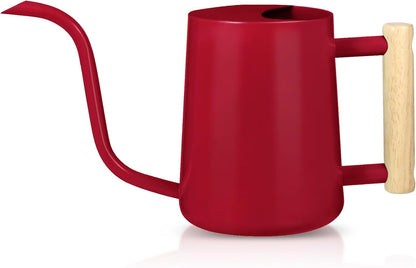 Watering Can Indoor Plants, 35oz Small Indoor Stainless Steel Metal Watering Can Modern Decorative Watering Pot with Long Spout for Indoor House Plant Bonsai Garden Flowers (Sage Green)