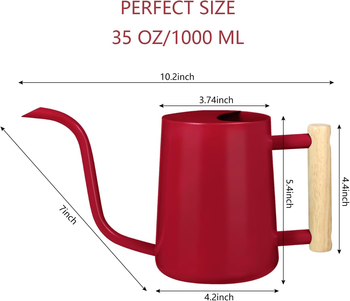 Watering Can Indoor Plants, 35oz Small Indoor Stainless Steel Metal Watering Can Modern Decorative Watering Pot with Long Spout for Indoor House Plant Bonsai Garden Flowers (Sage Green)