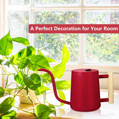 Watering Can Indoor Plants, 35oz Small Indoor Stainless Steel Metal Watering Can Modern Decorative Watering Pot with Long Spout for Indoor House Plant Bonsai Garden Flowers (Sage Green)