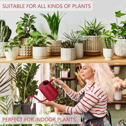 Watering Can Indoor Plants, 35oz Small Indoor Stainless Steel Metal Watering Can Modern Decorative Watering Pot with Long Spout for Indoor House Plant Bonsai Garden Flowers (Sage Green)
