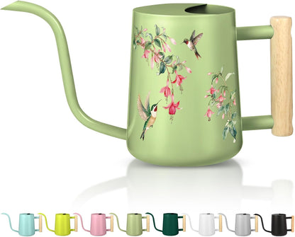 Watering Can Indoor Plants, 35oz Small Indoor Stainless Steel Metal Watering Can Modern Decorative Watering Pot with Long Spout for Indoor House Plant Bonsai Garden Flowers (Sage Green)