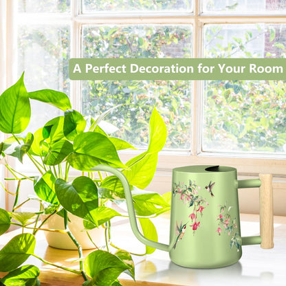 Watering Can Indoor Plants, 35oz Small Indoor Stainless Steel Metal Watering Can Modern Decorative Watering Pot with Long Spout for Indoor House Plant Bonsai Garden Flowers (Sage Green)