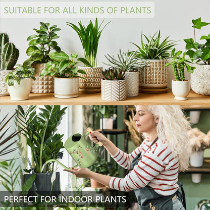 Watering Can Indoor Plants, 35oz Small Indoor Stainless Steel Metal Watering Can Modern Decorative Watering Pot with Long Spout for Indoor House Plant Bonsai Garden Flowers (Sage Green)