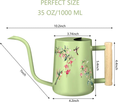 Watering Can Indoor Plants, 35oz Small Indoor Stainless Steel Metal Watering Can Modern Decorative Watering Pot with Long Spout for Indoor House Plant Bonsai Garden Flowers (Sage Green)