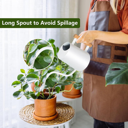 Watering Can Indoor Plants, 35oz Small Indoor Stainless Steel Metal Watering Can Modern Decorative Watering Pot with Long Spout for Indoor House Plant Bonsai Garden Flowers (Sage Green)