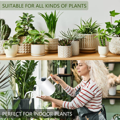 Watering Can Indoor Plants, 35oz Small Indoor Stainless Steel Metal Watering Can Modern Decorative Watering Pot with Long Spout for Indoor House Plant Bonsai Garden Flowers (Sage Green)