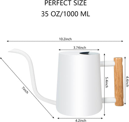 Watering Can Indoor Plants, 35oz Small Indoor Stainless Steel Metal Watering Can Modern Decorative Watering Pot with Long Spout for Indoor House Plant Bonsai Garden Flowers (Sage Green)