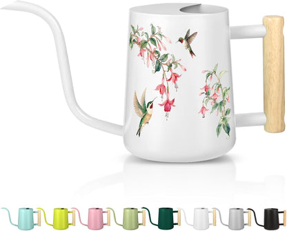 Watering Can Indoor Plants, 35oz Small Indoor Stainless Steel Metal Watering Can Modern Decorative Watering Pot with Long Spout for Indoor House Plant Bonsai Garden Flowers (Sage Green)