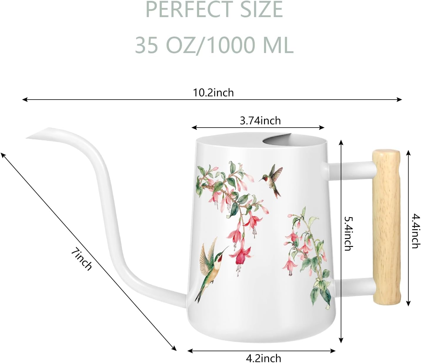 Watering Can Indoor Plants, 35oz Small Indoor Stainless Steel Metal Watering Can Modern Decorative Watering Pot with Long Spout for Indoor House Plant Bonsai Garden Flowers (Sage Green)