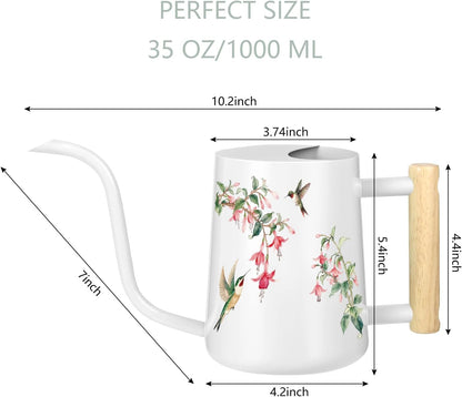Watering Can Indoor Plants, 35oz Small Indoor Stainless Steel Metal Watering Can Modern Decorative Watering Pot with Long Spout for Indoor House Plant Bonsai Garden Flowers (Sage Green)
