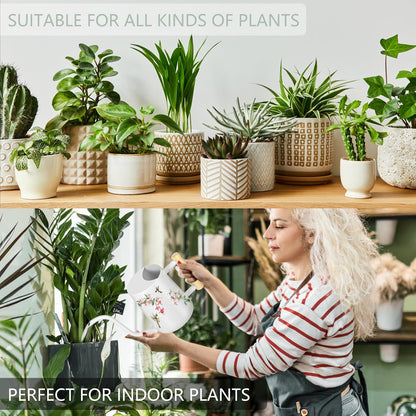 Watering Can Indoor Plants, 35oz Small Indoor Stainless Steel Metal Watering Can Modern Decorative Watering Pot with Long Spout for Indoor House Plant Bonsai Garden Flowers (Sage Green)