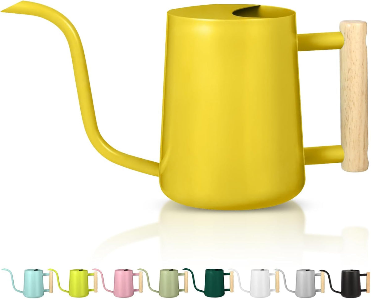Watering Can Indoor Plants, 35oz Small Indoor Stainless Steel Metal Watering Can Modern Decorative Watering Pot with Long Spout for Indoor House Plant Bonsai Garden Flowers (Sage Green)