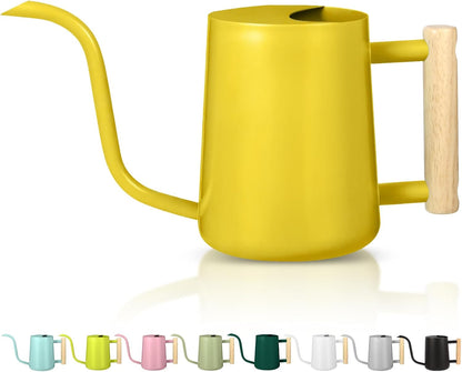Watering Can Indoor Plants, 35oz Small Indoor Stainless Steel Metal Watering Can Modern Decorative Watering Pot with Long Spout for Indoor House Plant Bonsai Garden Flowers (Sage Green)