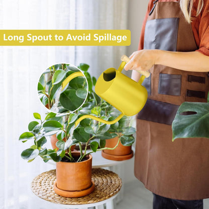 Watering Can Indoor Plants, 35oz Small Indoor Stainless Steel Metal Watering Can Modern Decorative Watering Pot with Long Spout for Indoor House Plant Bonsai Garden Flowers (Sage Green)