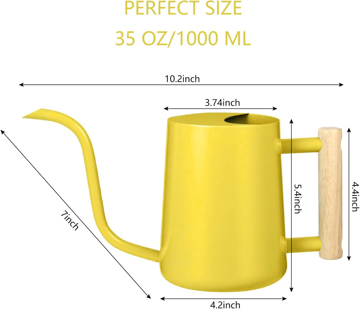 Watering Can Indoor Plants, 35oz Small Indoor Stainless Steel Metal Watering Can Modern Decorative Watering Pot with Long Spout for Indoor House Plant Bonsai Garden Flowers (Sage Green)