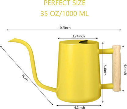 Watering Can Indoor Plants, 35oz Small Indoor Stainless Steel Metal Watering Can Modern Decorative Watering Pot with Long Spout for Indoor House Plant Bonsai Garden Flowers (Sage Green)