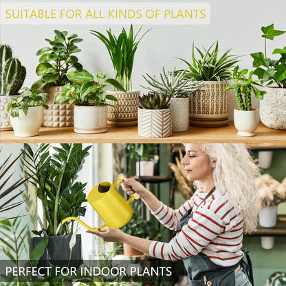 Watering Can Indoor Plants, 35oz Small Indoor Stainless Steel Metal Watering Can Modern Decorative Watering Pot with Long Spout for Indoor House Plant Bonsai Garden Flowers (Sage Green)