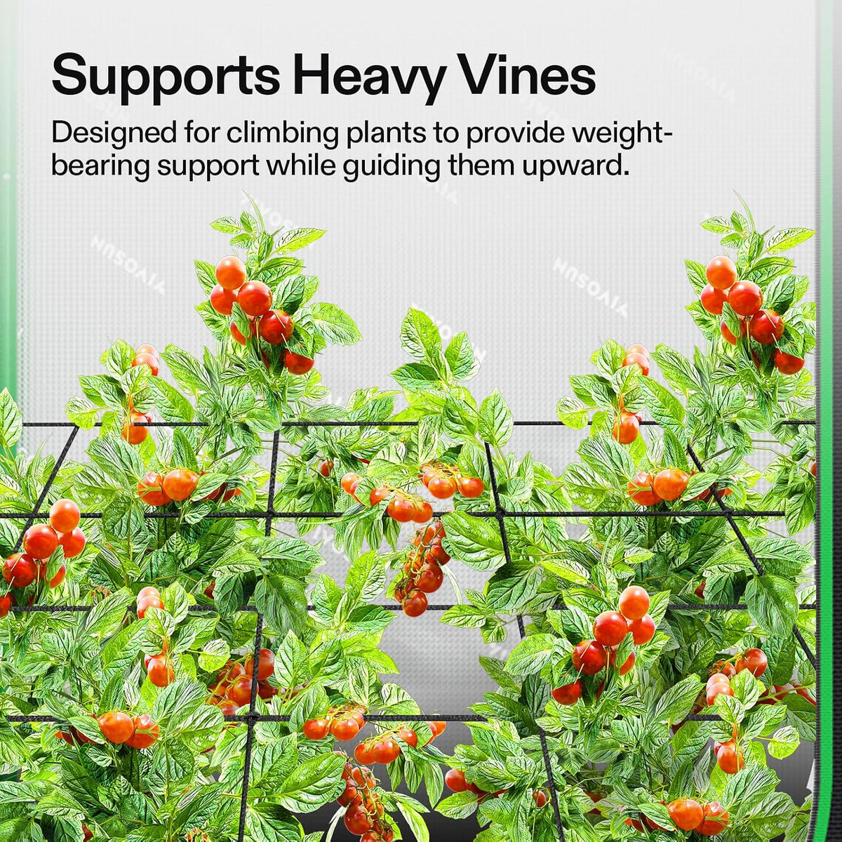 5 x 5Ft. Elastic Trellis Netting with 4 Hooks for Climbing Plants, Vegetables, Fruits, and Flowers, 1-Pack
