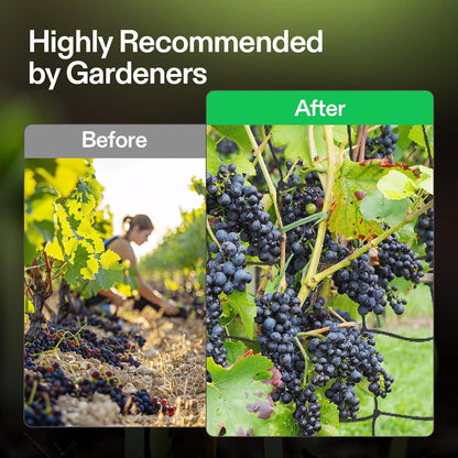 5 x 5Ft. Elastic Trellis Netting with 4 Hooks for Climbing Plants, Vegetables, Fruits, and Flowers, 1-Pack