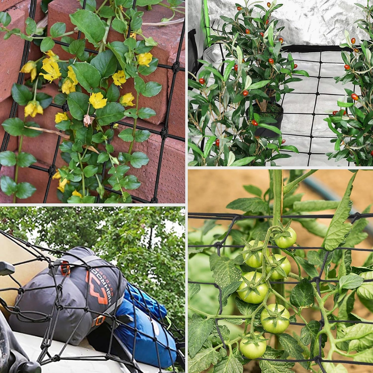 5 x 5Ft. Elastic Trellis Netting with 4 Hooks for Climbing Plants, Vegetables, Fruits, and Flowers, 1-Pack