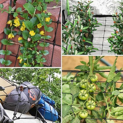 5 x 5Ft. Elastic Trellis Netting with 4 Hooks for Climbing Plants, Vegetables, Fruits, and Flowers, 1-Pack