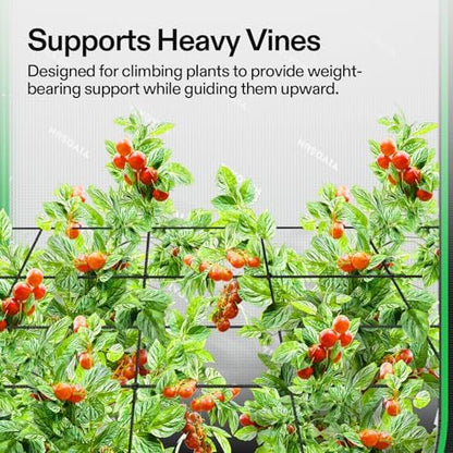 5 x 5Ft. Elastic Trellis Netting with 4 Hooks for Climbing Plants, Vegetables, Fruits, and Flowers, 1-Pack