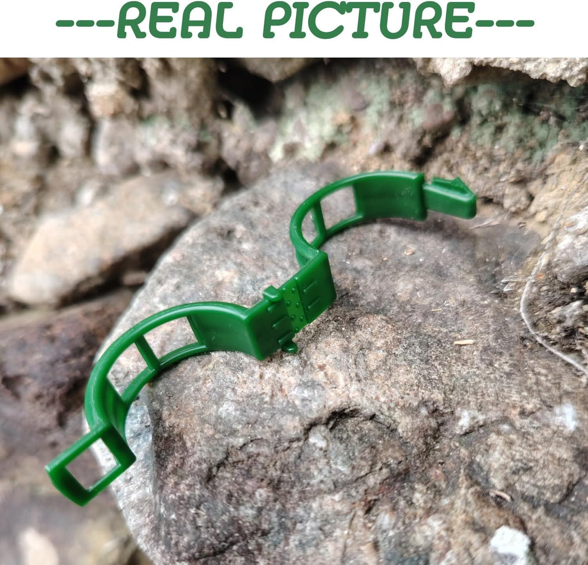 Plant Support Clips - Tomato Clips for String Trellis, 50pcs Grape Vine Clips for Fixing Stem and Vinefor Garden Netting Climbing Plants, Secured Plastic Plant Clip (50, Green) (50)
