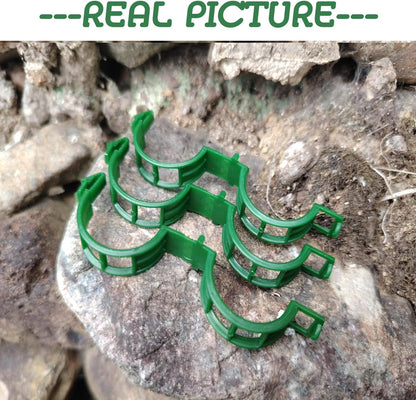 Plant Support Clips - Tomato Clips for String Trellis, 50pcs Grape Vine Clips for Fixing Stem and Vinefor Garden Netting Climbing Plants, Secured Plastic Plant Clip (50, Green) (50)