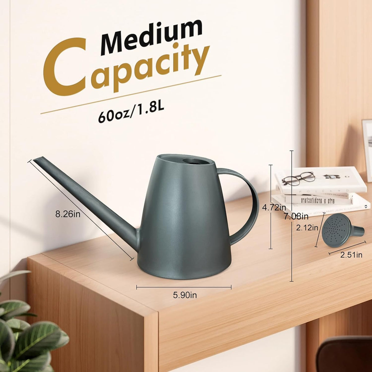 60 oz Watering Can, Small Watering Can for Indoor Plants with Long Spout