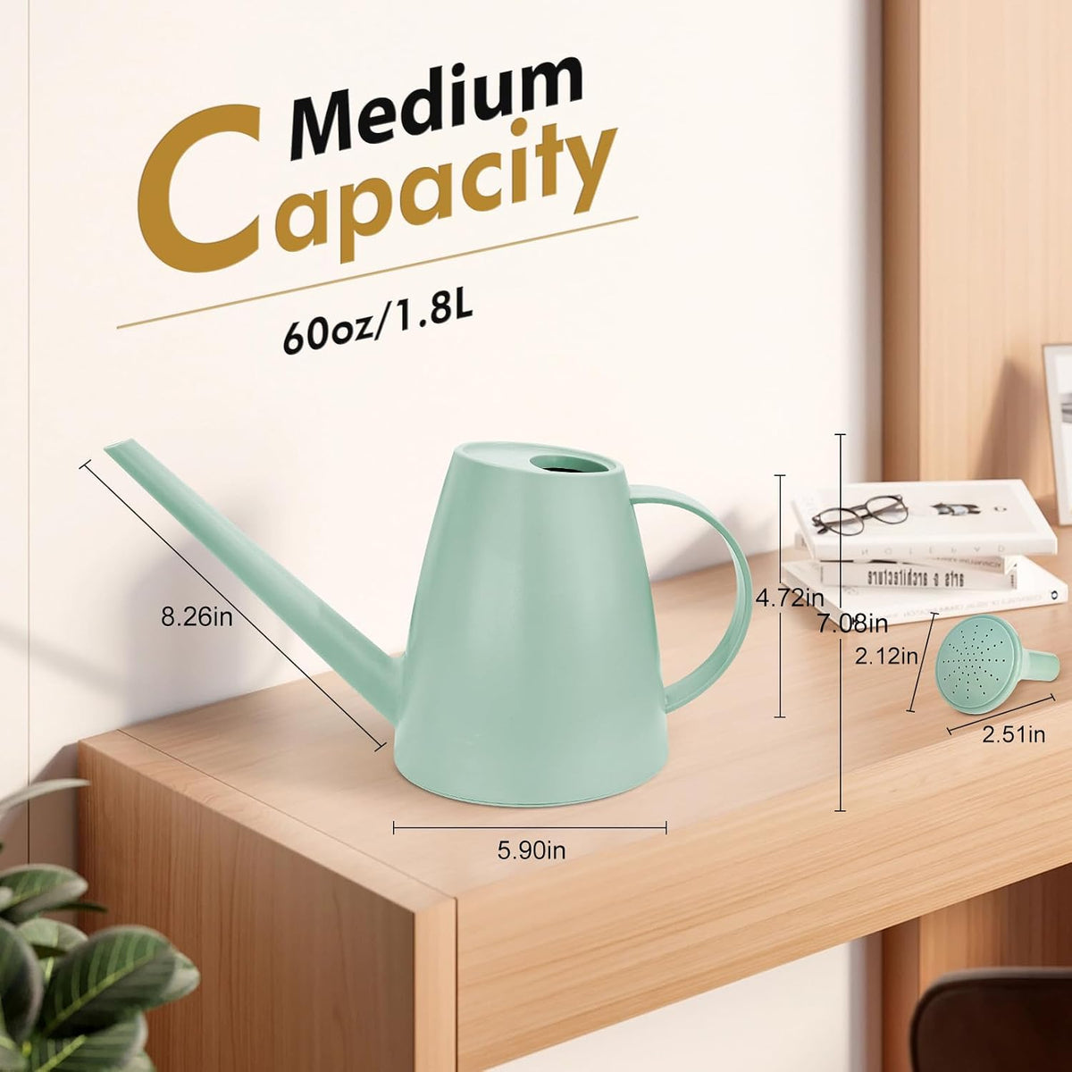 60 oz Watering Can, Small Watering Can for Indoor Plants with Long Spout