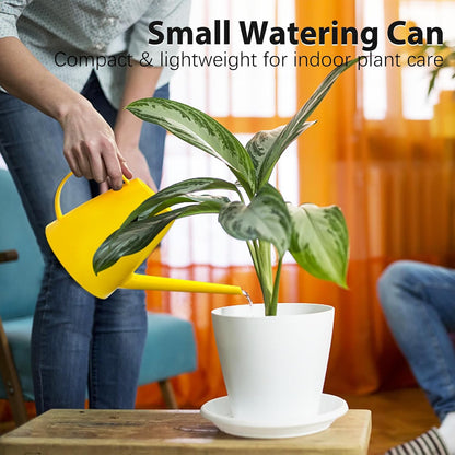 60 oz Watering Can, Small Watering Can for Indoor Plants with Long Spout