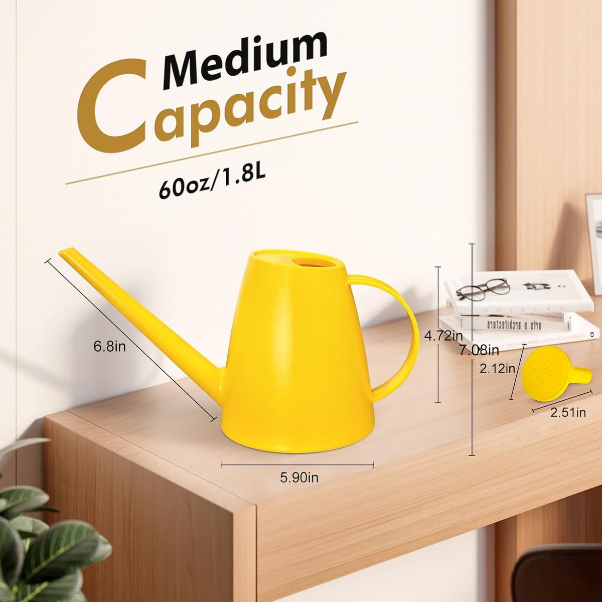 60 oz Watering Can, Small Watering Can for Indoor Plants with Long Spout