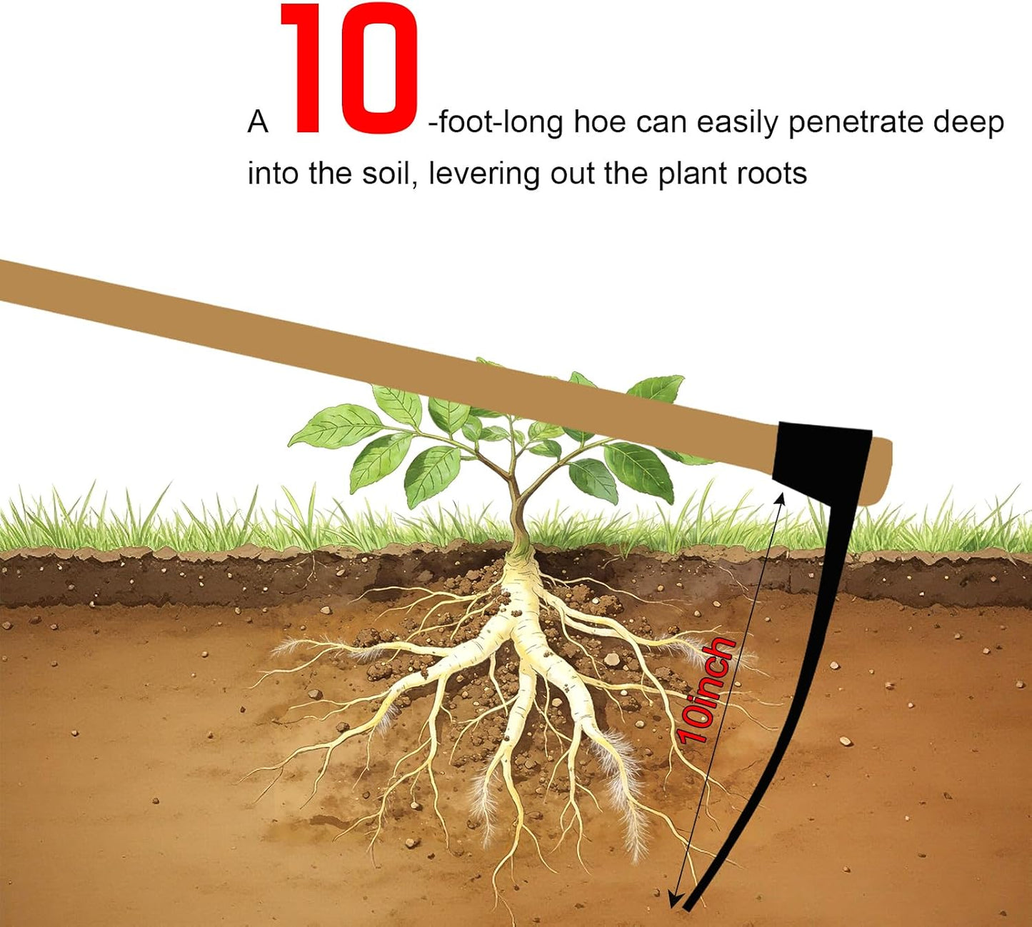 Heavy Duty Garden Round Eye Hoe for Soil Digging 2.2Lb (1Kg)- High Carbon Rail Steel, Hand-Sharpened Edge, Heat-Treated for Strength & Stable Performance(Not Included Handle)