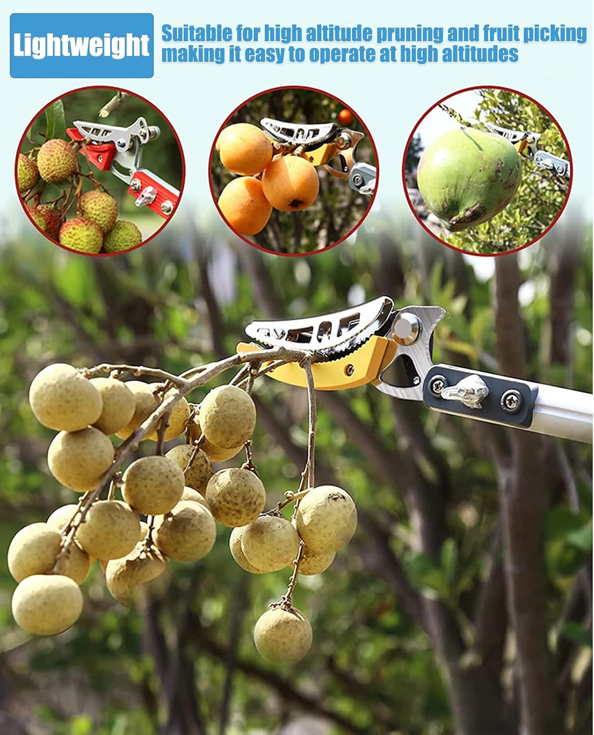 4.6-9.8Ft Cut and Hold Pruners,3 Sections Extendable Tree Trimmer Pruning Shears and Hold Bypass Pruner Telescoping Fruit Picker High Branch Trimming（1 blade heads）