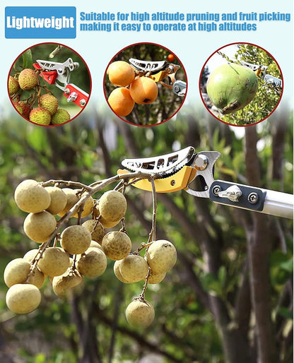 4.6-9.8Ft Cut and Hold Pruners,3 Sections Extendable Tree Trimmer Pruning Shears and Hold Bypass Pruner Telescoping Fruit Picker High Branch Trimming（1 blade heads）