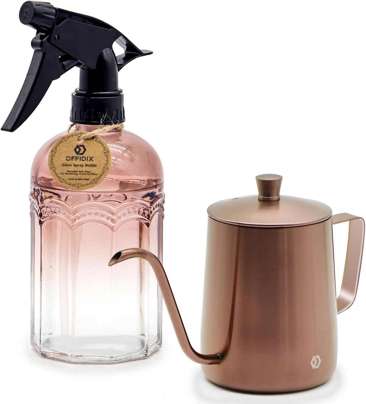 Watering Can for Indoor Plants Long Spout Metal Stainless Steel 21 oz Small Watering Can with 14 oz Glass Plant Mister Spray Bottle for Plants Bonsai