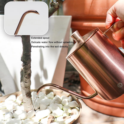 Watering Can for Indoor Plants Long Spout Metal Stainless Steel 21 oz Small Watering Can with 14 oz Glass Plant Mister Spray Bottle for Plants Bonsai