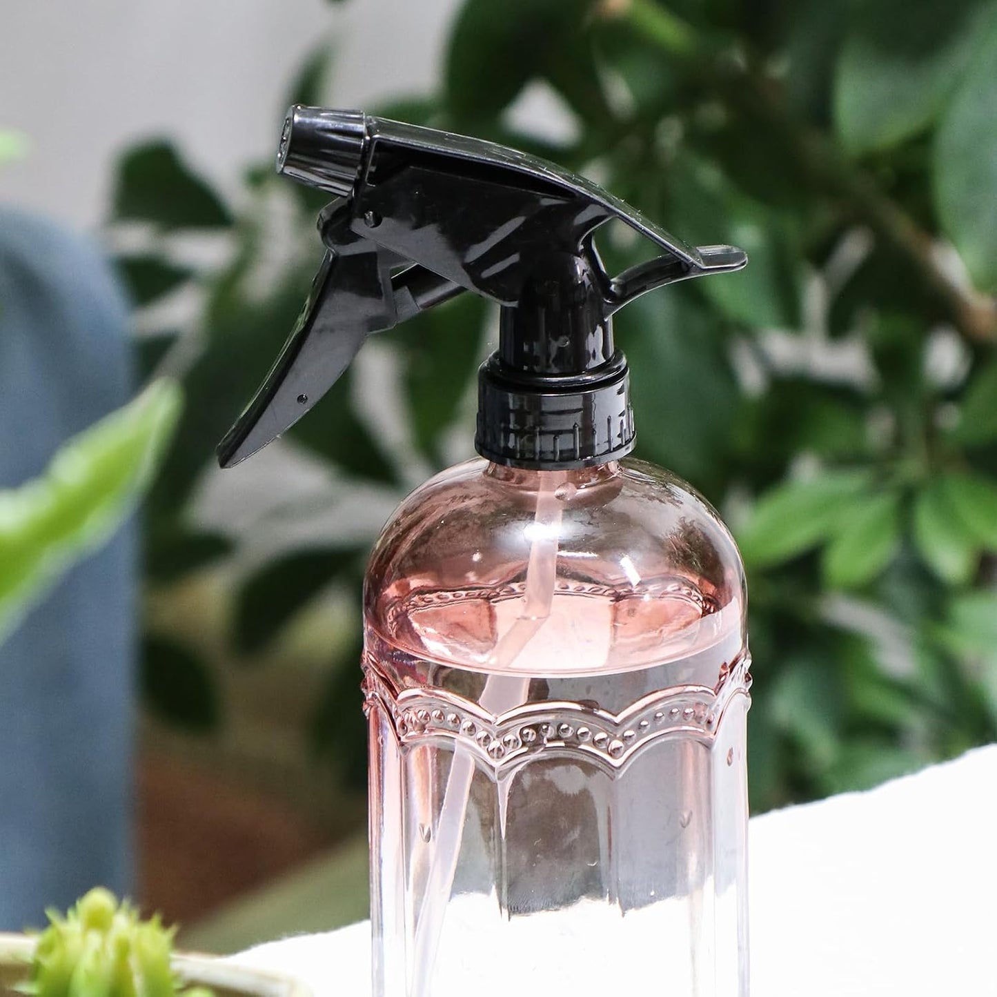 Watering Can for Indoor Plants Long Spout Metal Stainless Steel 21 oz Small Watering Can with 14 oz Glass Plant Mister Spray Bottle for Plants Bonsai